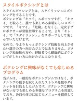 スタイルボクシング ブリッジ&nbsp;スタイル ボクシング