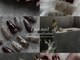 ルアネイル(Lua nail)の写真/綺麗めニュアンスの定額ネイルが豊富＊男性の方も【misato】指名にて施術可能