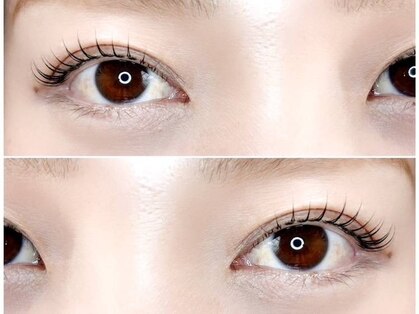 リリー(Lily)の写真