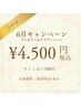 ［平日限定］ワンカラーorカラグラ　￥4.500 （お直し不可）