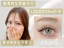 エトラ 吉祥寺(etora)の雰囲気（パリエク/エクパーマ/LED/マツエク）