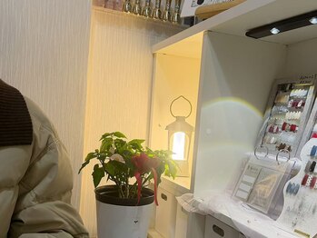 ショウウン(SHOUN)/