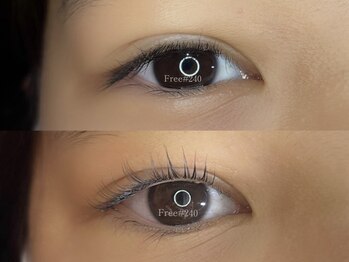 フリー#240(Free#240)/デザインラッシュリフト