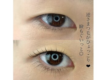 ニコ(Nico)/まつ毛パーマ/ラッシュリフト