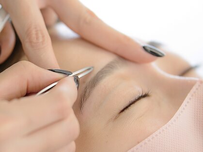 リグナル(Lignal.)の写真