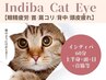 眼.頭.背中.肩.首筋.疲れ ◎ヘッドスパ【インディバ+頭皮LED美容液】60分