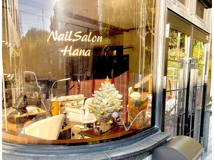 ハナ(Hana)の写真