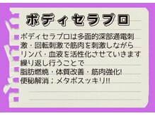 ビヒトジャパン 町田相模原/ビック ダイエット 痩身 エステ