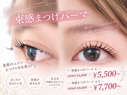 シロアイラッシュ(shiro.eyelash)の写真