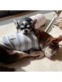 ポノ 大宮東口店(pono) うちの愛犬たちです!