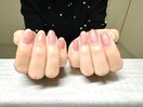 定額・月替わりサンプル