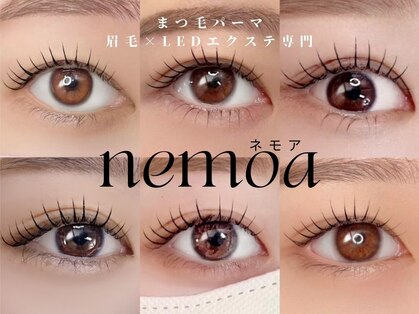 ネモア 今泉 薬院店の写真