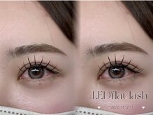 アリィ 国立店(Ali'i)/LEDエクステ120本