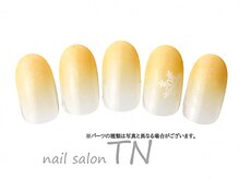 ティーエヌ TSUTAYA北巽店/12月季節の定額3900円コ―ス
