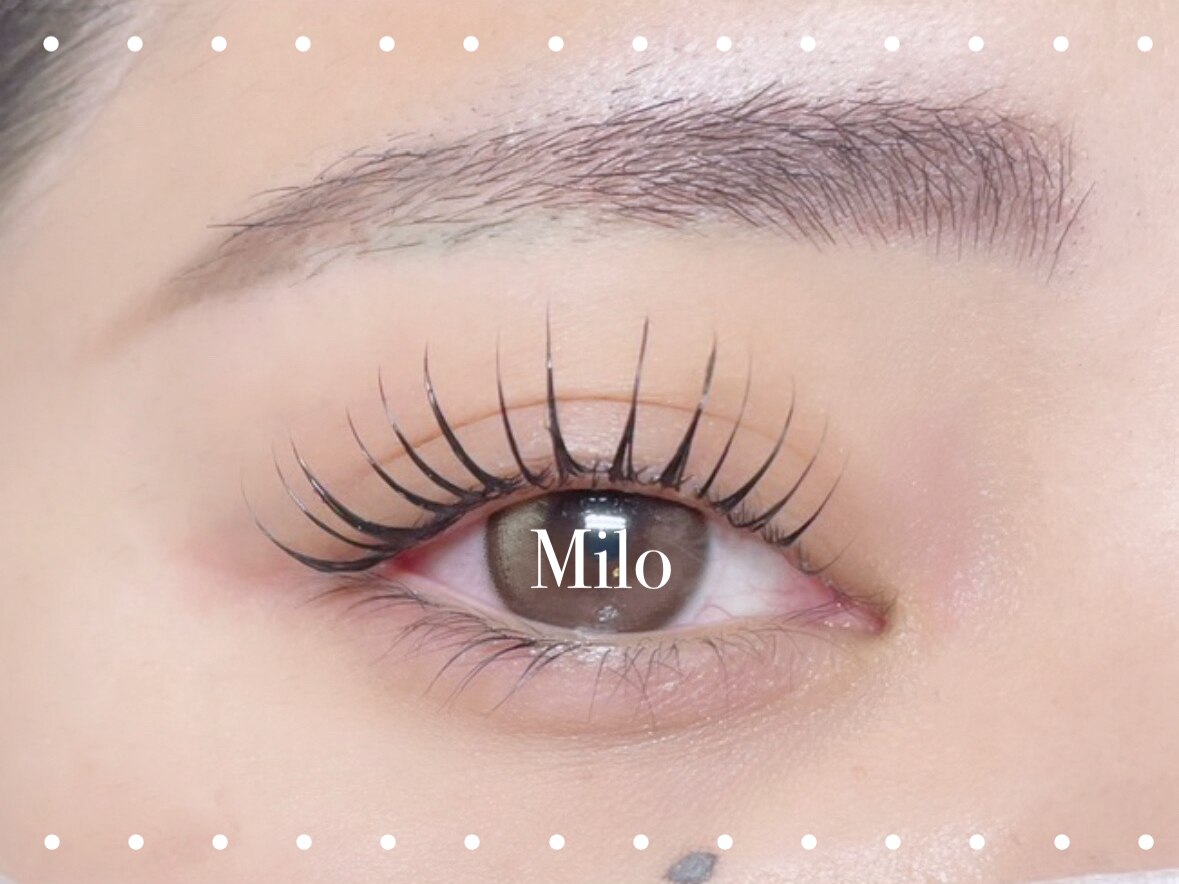 ミロバイキング 枚方2号店(Milo by king)｜ホットペッパービューティー