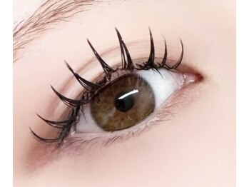 リブレ(Libre)/ダブルフラットラッシュ160本