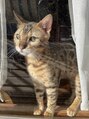 ルリアルリア(Lelie)&nbsp;保護猫2匹飼ってます