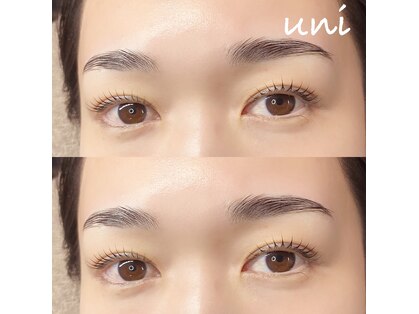 ユニ(uni)の写真