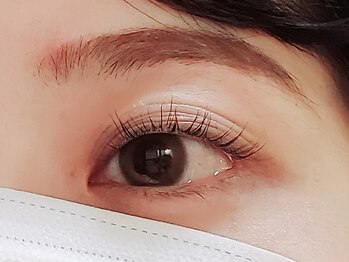 マイラッシュ 緑井店(my lash)の写真/【良心価格×高技術】でリピーター続出◎口コミ・クーポン必見♪朝のメイクが楽になるのも嬉しい♪