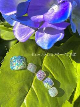 ティーエヌ たまプラーザ店/《季節限定》たまプラーザ店限定