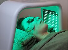 やなけん 亀戸店