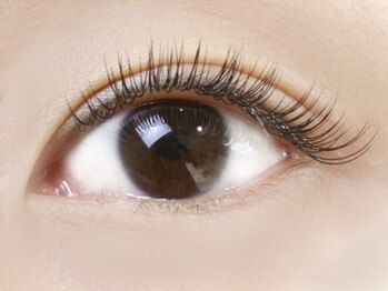 ラッシュワン 四条店(Lash One)/■まつ毛エクステ