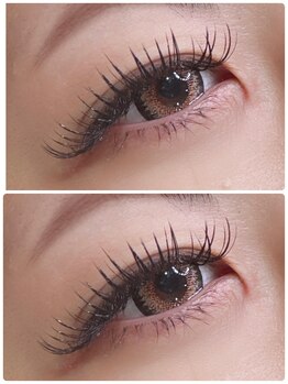 グラッディイース(Glady ease)/ダブルフラットラッシュ160束