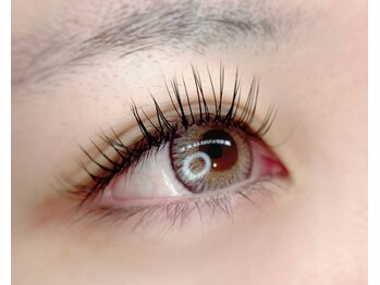 アイビー(Ivy)/フラットラッシュ/Lカール