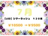 【LED】シマーラッシュ120本 10500円→9500円