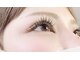 シーラッシュ(Sea Lash)の写真