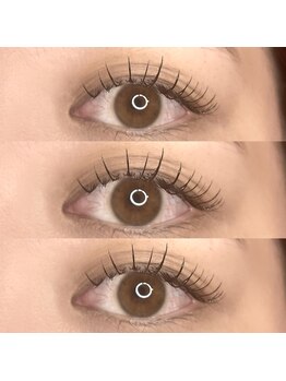 アイリス アイラッシュ(IRIS eyelash)/フラットラッシュ140本