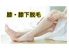 8月限定【女性】膝・膝下脱毛　¥4,400