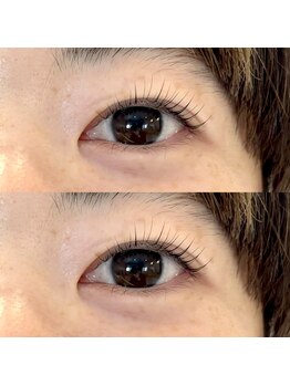 フィービー(pheebe)/ラッシュリフト(まつ毛パーマ)