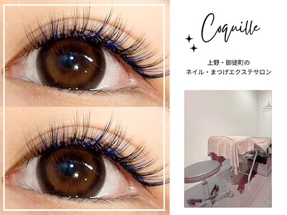 コキーユ(Coquille)の写真