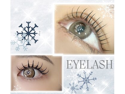 ラウレア(Laurea)の写真