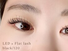 リル(Rire)/LEDフラットラッシュ120本＊＊