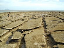 アジアンリラクゼーション ヴィラ 大橋店(asian relaxation villa)/タイ王国：スーサン・ホイ