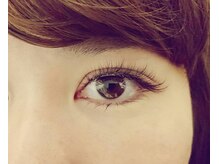 ルピナス(Lupinus)/ボリュームラッシュ400本