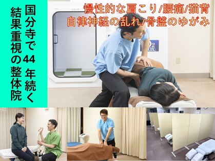 もみの樹の写真