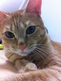 オア(OR) とにかく猫がすき。実家に1匹、自宅に2匹飼っています！