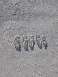 ハンド☆シンプルコース￥7800