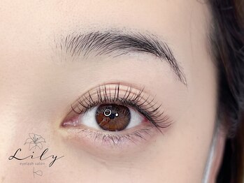 リリー(Lily)/フラットラッシュ120本