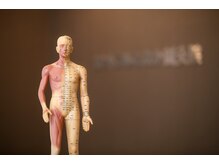 セントラルたなか鍼灸院 上社院/・セントラル症例マップ