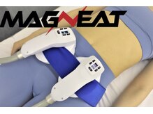 アフロディーテ/宮崎希少★次世代痩身マグニート