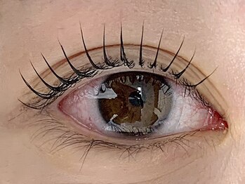 ベリーノ 五反田(Bellino)/まつげパーマ