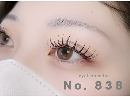 ナンバーハチサンハチ(No.838)の写真