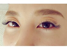 ルピナス(Lupinus)/ボリュームラッシュ400本