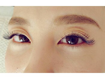 ルピナス(Lupinus)/ボリュームラッシュ400本