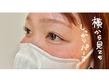 ハオルチア(Haworthia)/