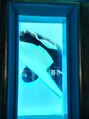 猫音&nbsp;水族館が好き。2025年の冬もシャチを見てきました♪